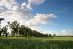 20050919IMG_9064