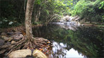 20060414IMG_7871
