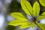 20060812IMG_0170