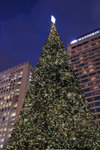20081212-IMG_7348
