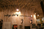 20081229-IMG_8700