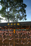 20090104-IMG_9125