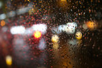 20081228-IMG_8597