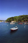 Image0016