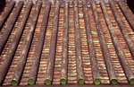 Image0019
