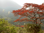 PICT0561