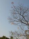 PICT0563