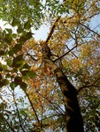 PICT0566