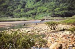 04070016