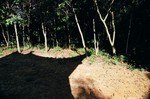 02490018