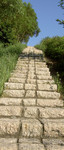 PICT0289_crop