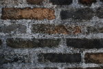 DSC_0151