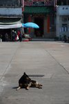 Image00017
