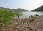DSCN1347
