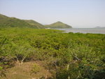 DSCN1363