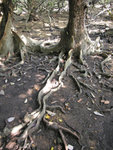 DSCN1368