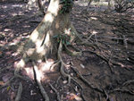 DSCN1373