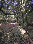 DSCN1376