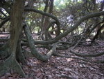 DSCN1378