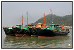 DSC_3576_T_900