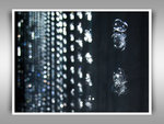 Canon G10 ISO-400 + flash