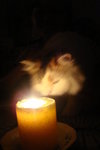 DSC02081