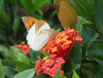 IMG_5050