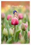 IMG_3492_fairy