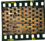CRW_8458x