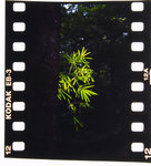 CRW_8484x