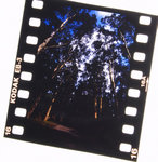 CRW_8490x