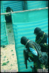 AIMG_0541