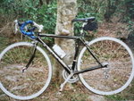 �Ӥ� 003