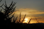 titan 020
