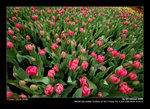 DSC_1948okf
