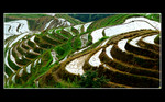 Guilin58541b