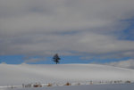 D23_5406a