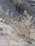 D23_5648a