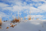 D23_5649a