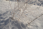 D23_5657a