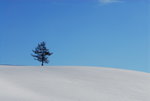 D23_5683a