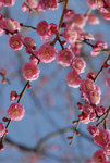 Fukuoka
D23_5936a