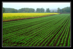 DSCF0763a