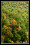 Landscape51106a