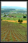 Furano