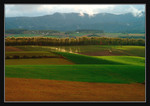 landscape50696b