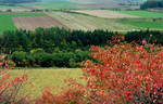 landscape50840c
