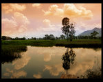 LandscapeG1372a