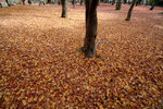 DSCF4869b