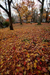 DSCF4879b